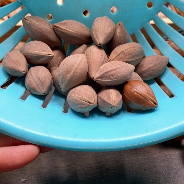 吊坠橄榄核静**财一斤