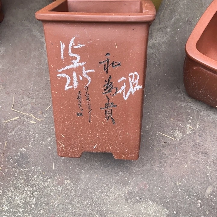 紫砂花盆紫砂花是盆