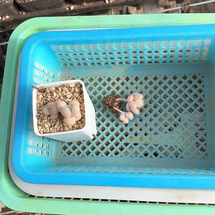 爱****卡x b c b n nv x 228