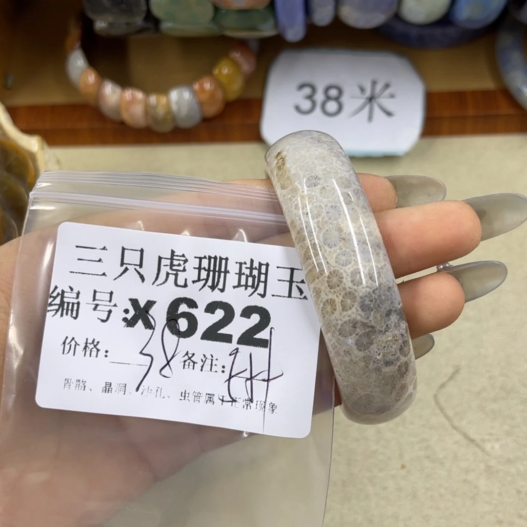 小****硅化珊瑚（珊瑚玉）未镶嵌h
