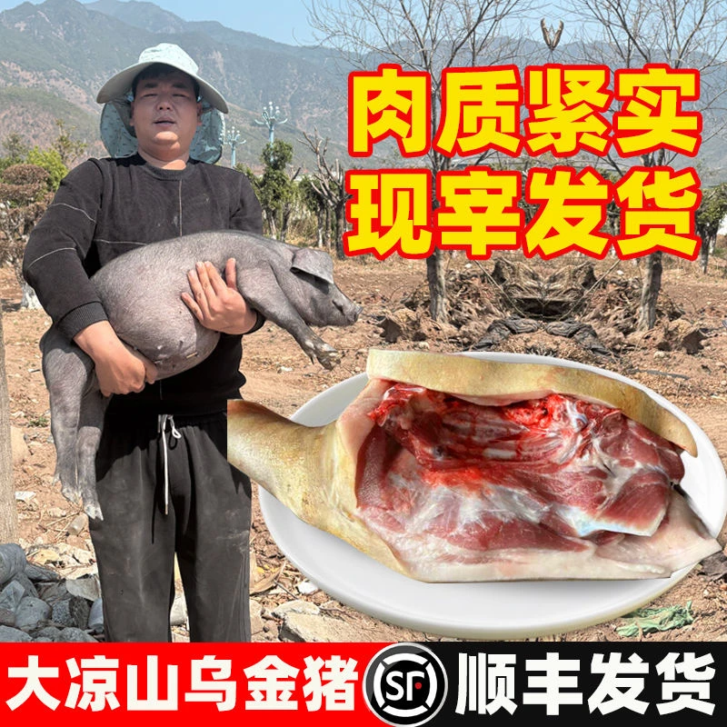 【顺丰空运直达】正宗大凉山小黑猪肉乌金跑山猪新鲜现杀