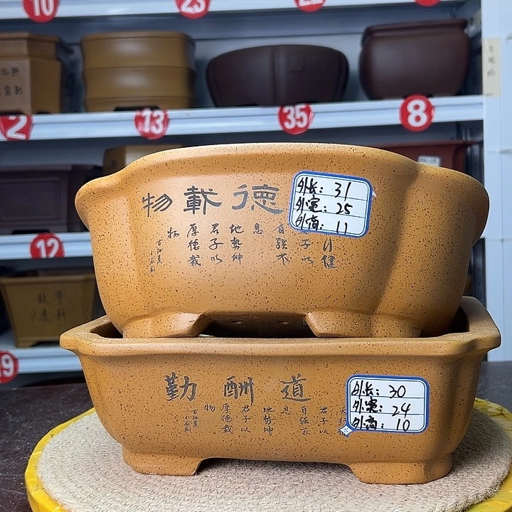 花盆紫砂蛇年大吉