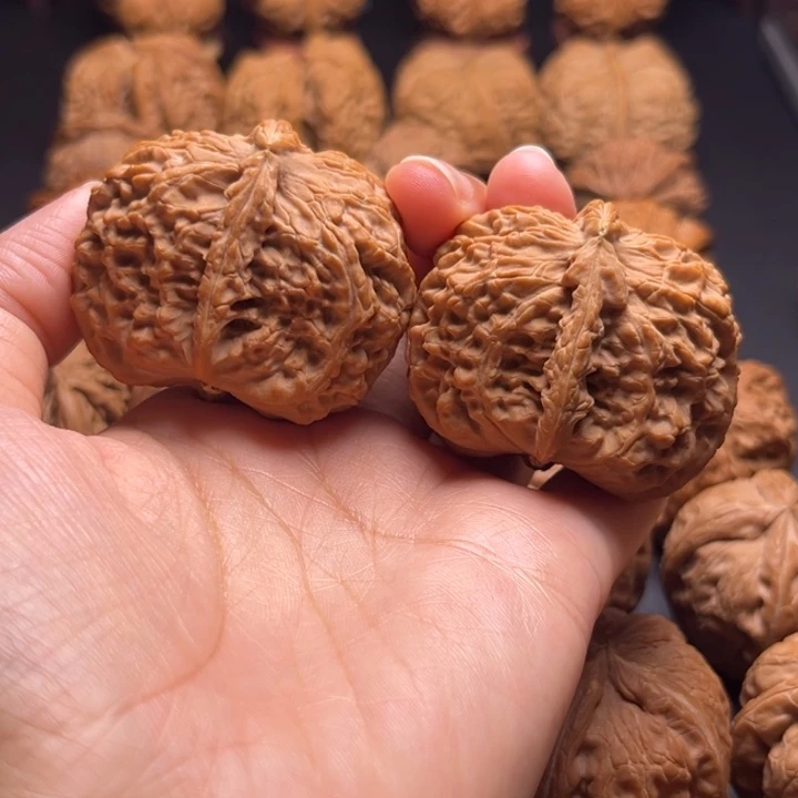 正****.白狮子半壁核桃哈哈哈哈哈