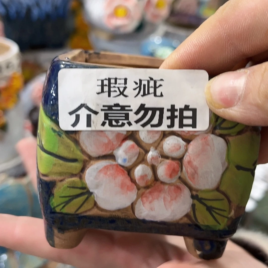 【闪购商品】红陶福利