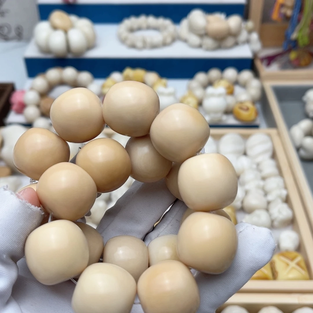 菩提根/象牙果手串