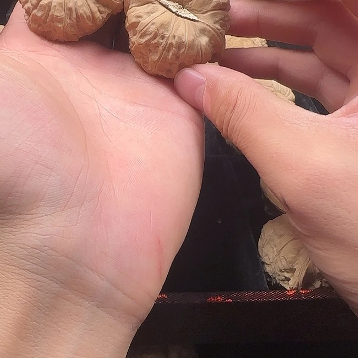 朱***明吊坠龙脊菩提啊啊啊啊啊啊啊南瓜24