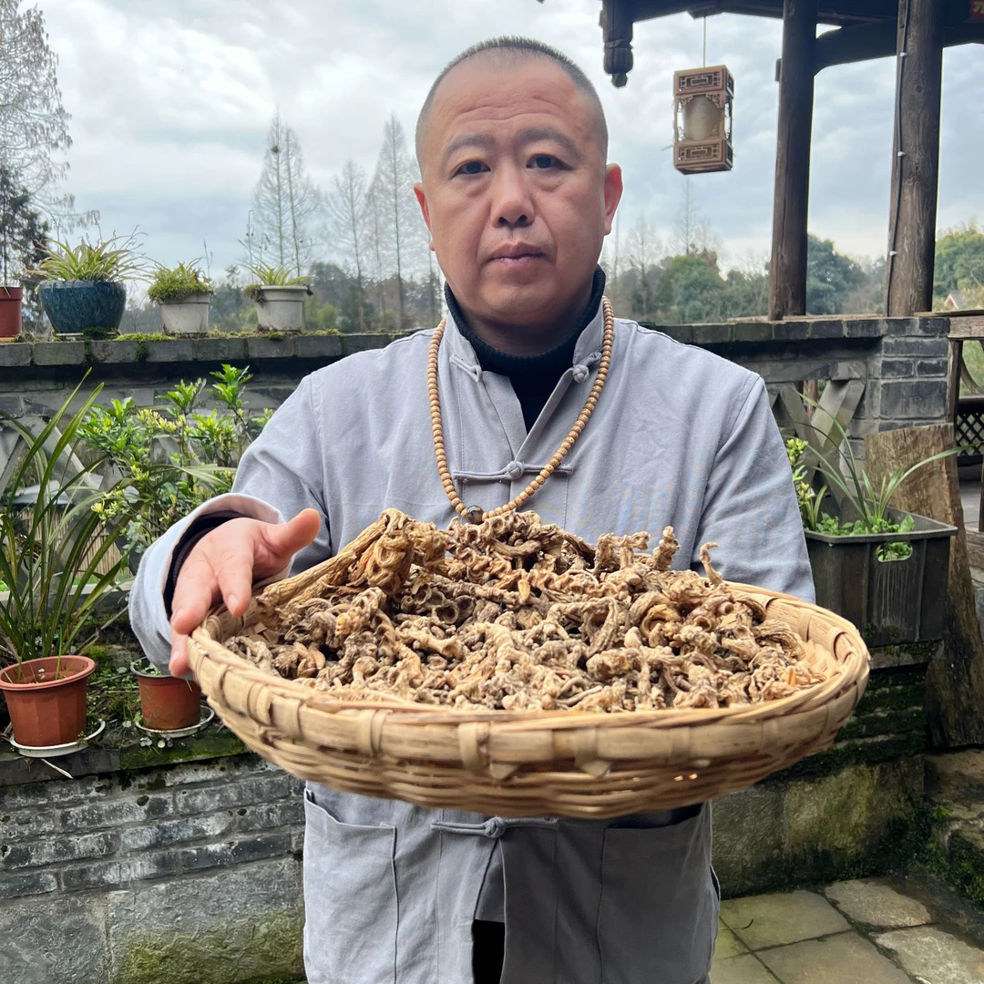 （周伯通推荐）—大号天王参