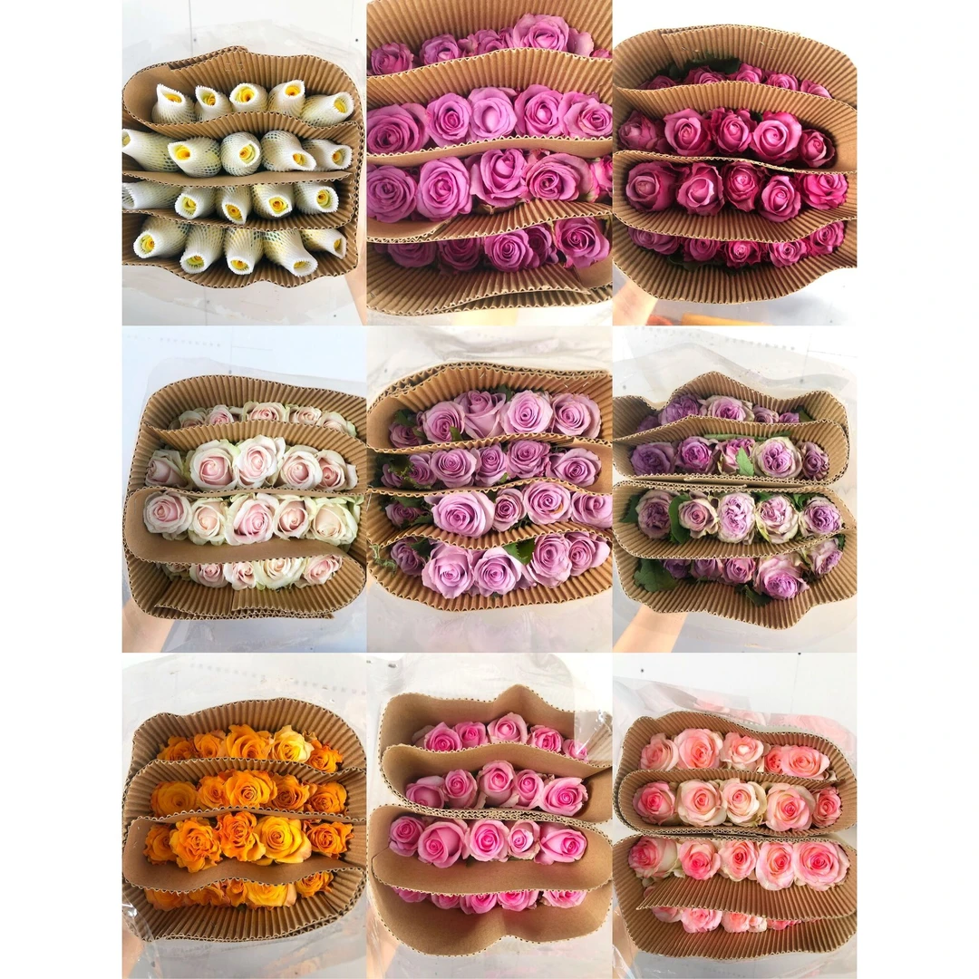 套74  混色玫瑰10支+混色单瓣紫罗兰一把+绿灵草一小把