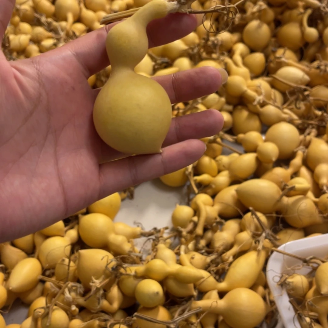 唐***花咯哦哦哦哦哦哦哦哦哦哦哦哦哦