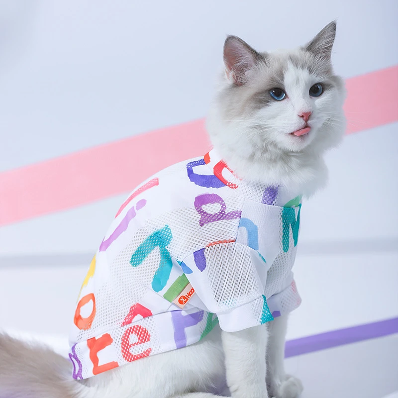 猫咪衣服防掉毛可爱背心蓝猫英短布偶春秋款幼猫小猫宠物春夏薄款