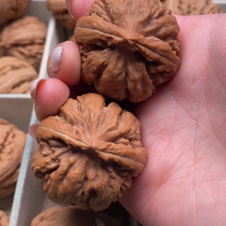 往***你霸王龙全品无修一刀没动