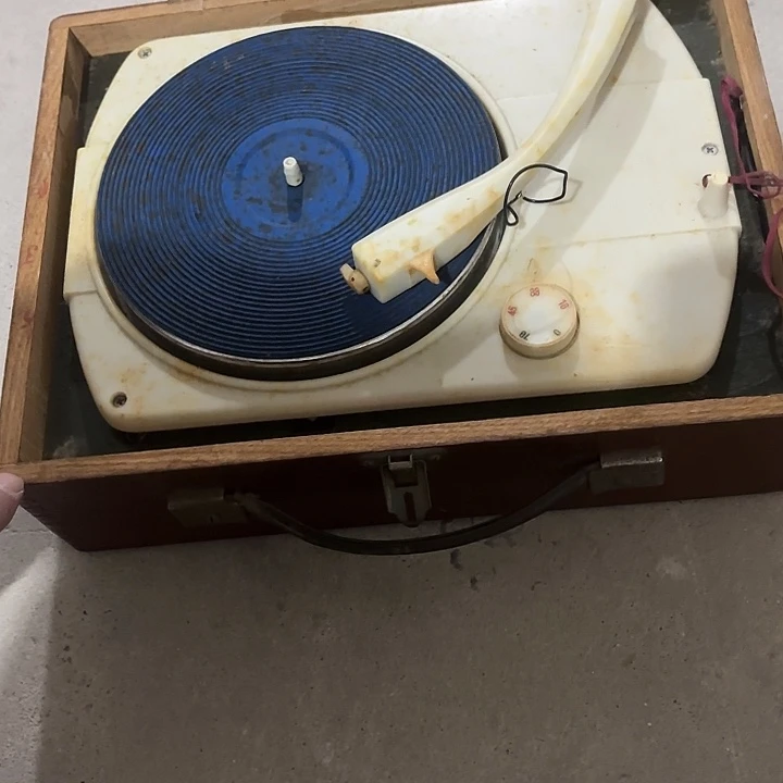 文***浩杂色豆（科檀/科特迪瓦檀木）