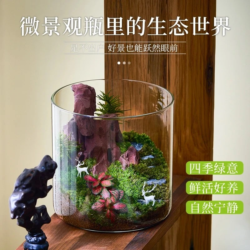 山野丛林苔藓微景观生态瓶办公室自然景观摆件造景绿植桌面