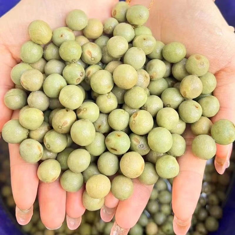 信阳淮滨特产二青一级10-12鸡头米新鲜芡实鸡头果500克新的鸡头米