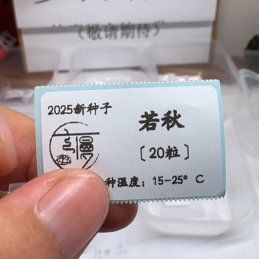 糖心方向“若秋”种子20粒不包出芽率