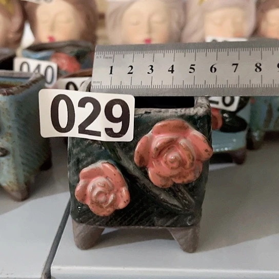 多肉植物花盆花盆