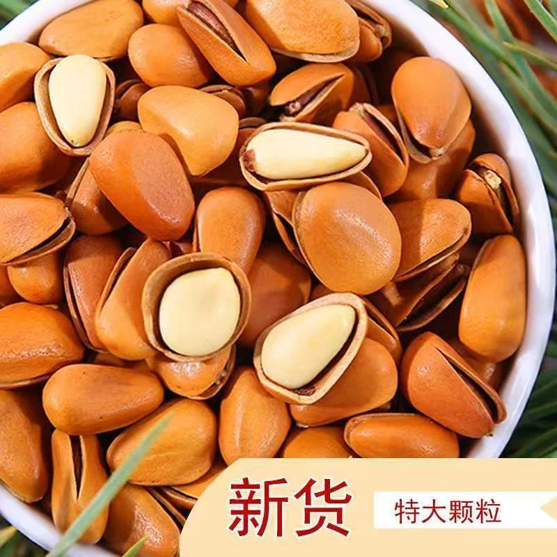 新货松子袋装大颗粒开口原味批发新货坚果干果休闲零食