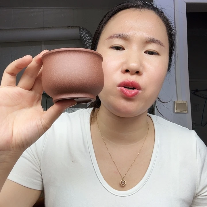 茶壶紫砂原矿紫泥杯200cc