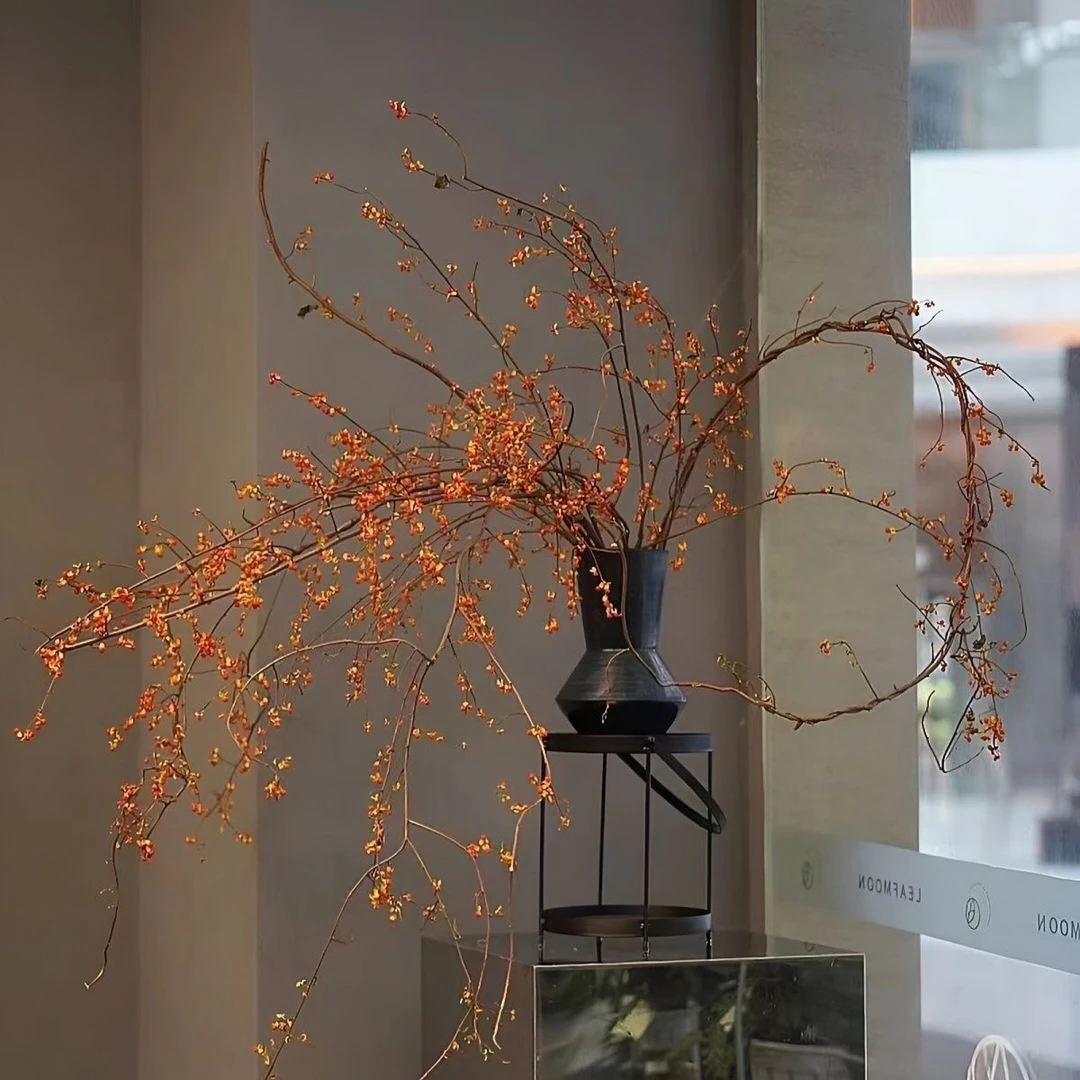 高端南蛇藤山归来花材稀有干花适合居家装饰