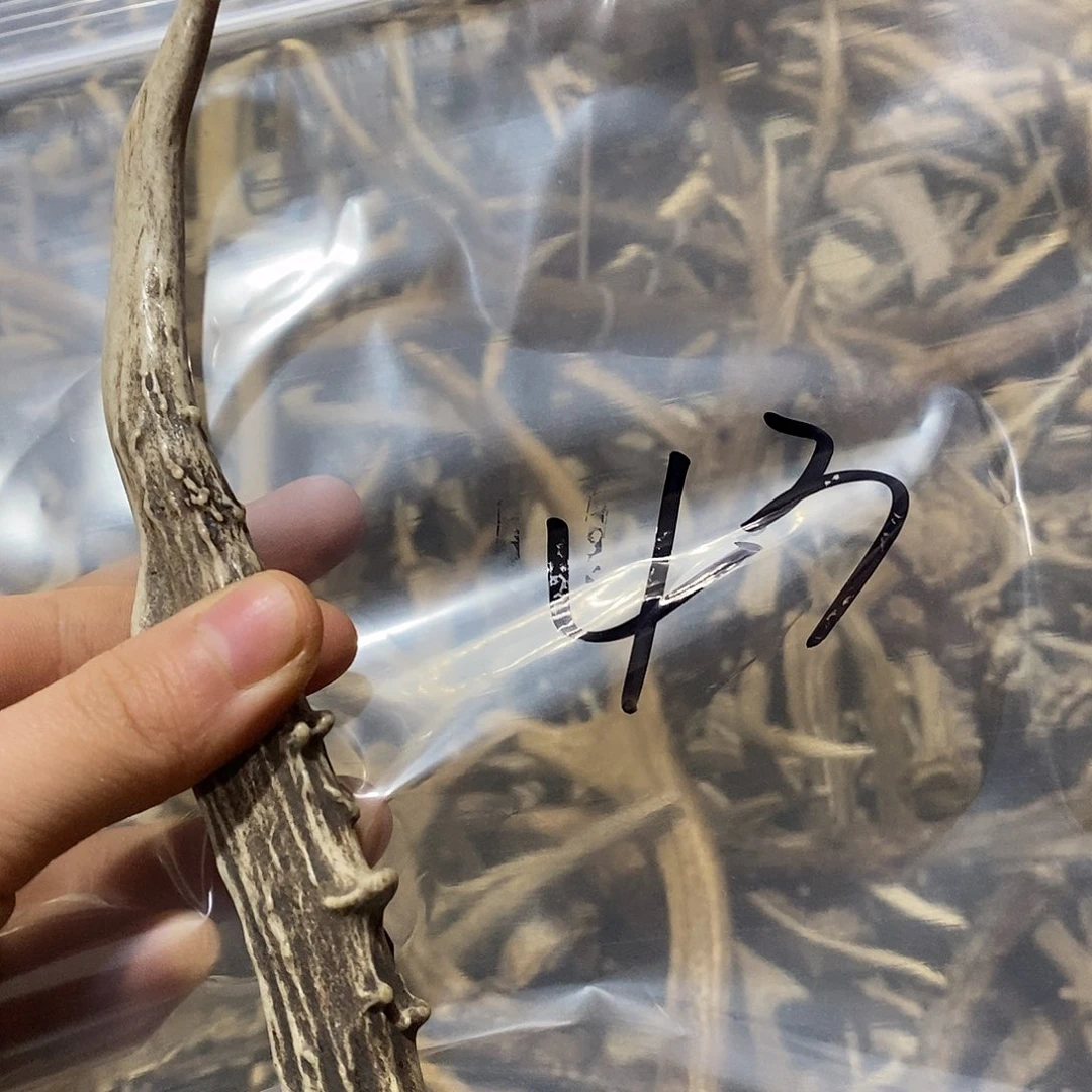 菜***羊非金属鹿角鹿角鹿角