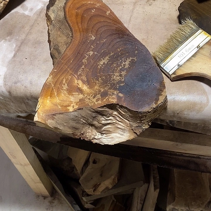 金丝楠木小叶桢楠木