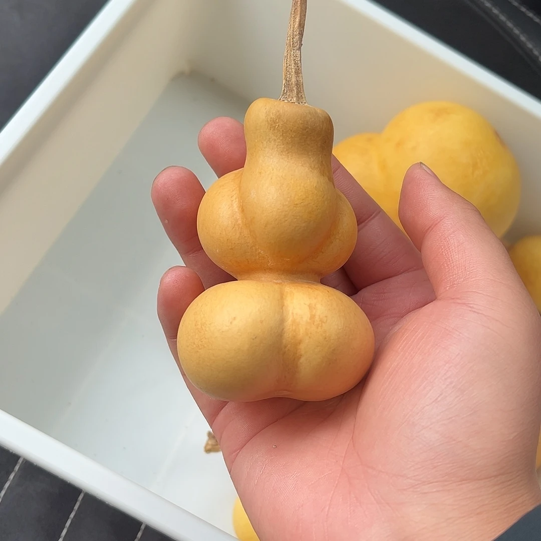 士***共哈哈哈哈哈哈哈哈哈哈