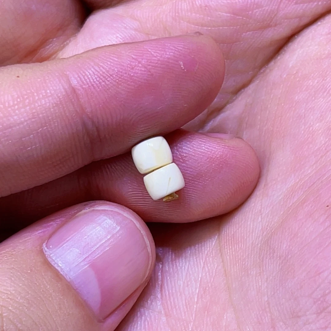 未镶嵌琥珀珠宝奇石胖*毛