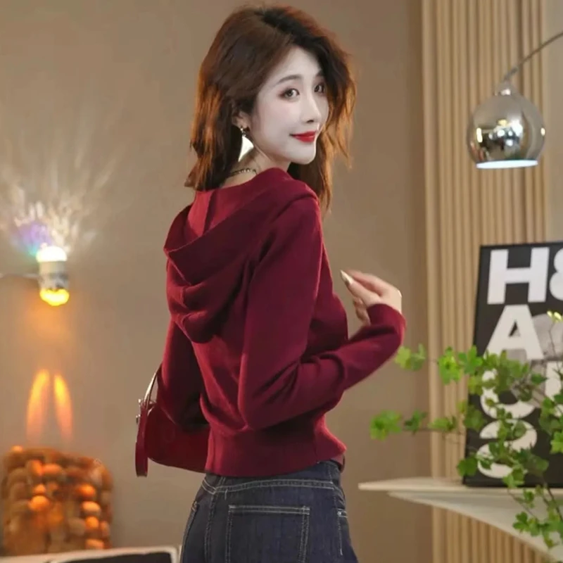 欧货高档纯色长袖连帽针织衫女春秋修身显瘦毛衣气质休闲百搭上衣