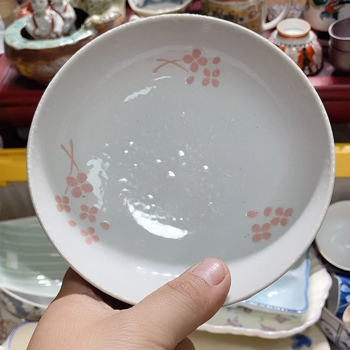 在家了我一开始觉得很
