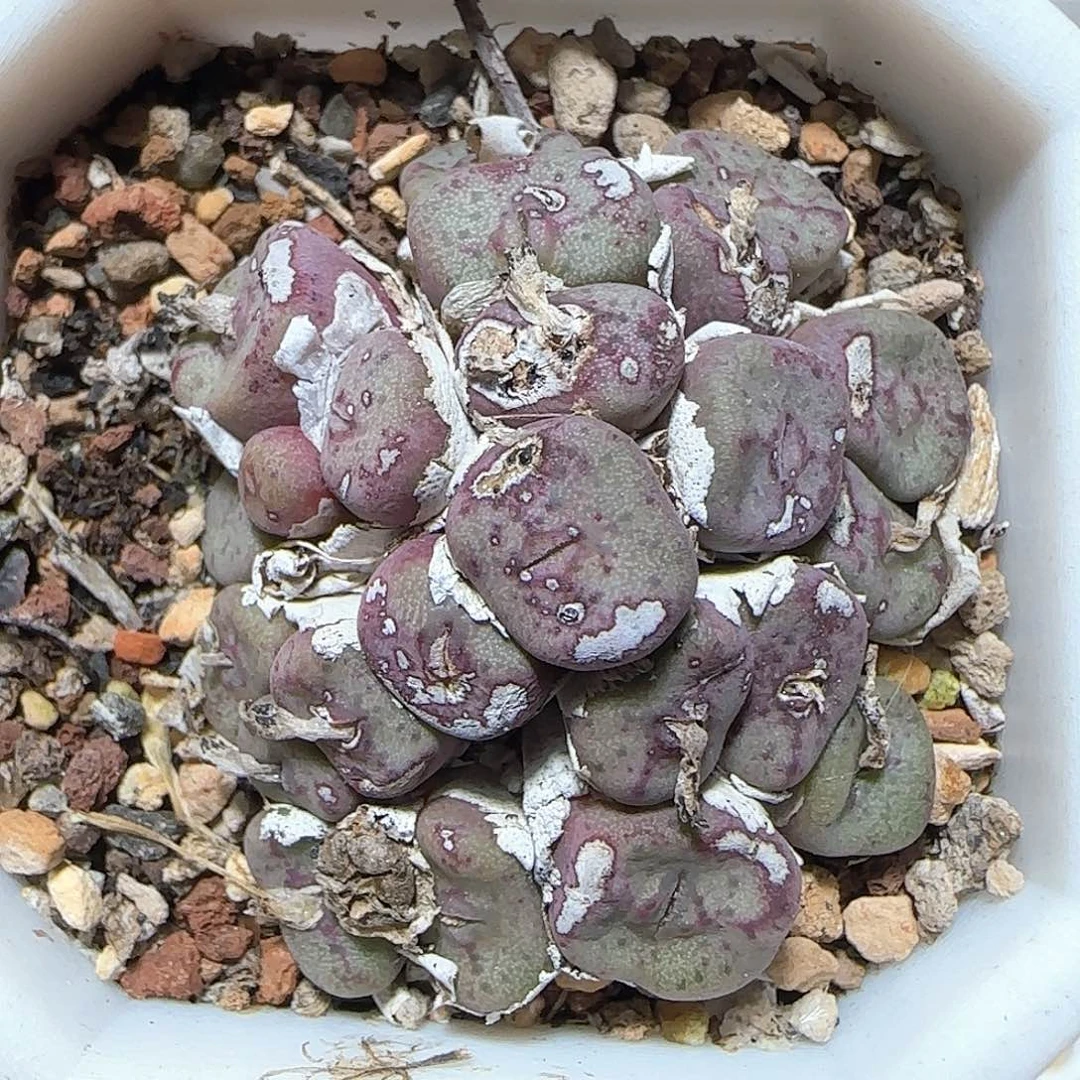 哈哈哈哈哈哈哈64