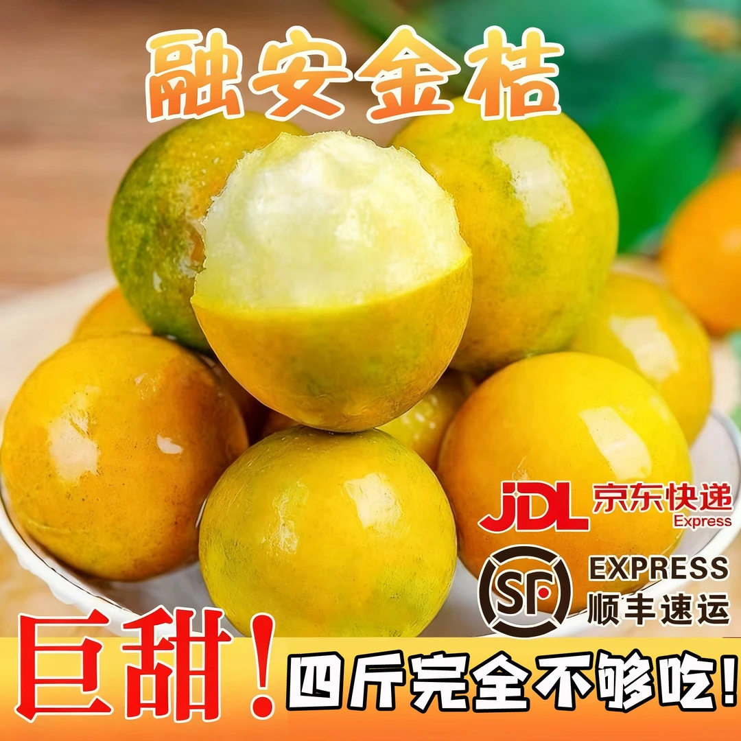 广西纯甜金桔滑皮金桔新鲜水果桂林脆皮金桔香甜少核金桔现摘现发