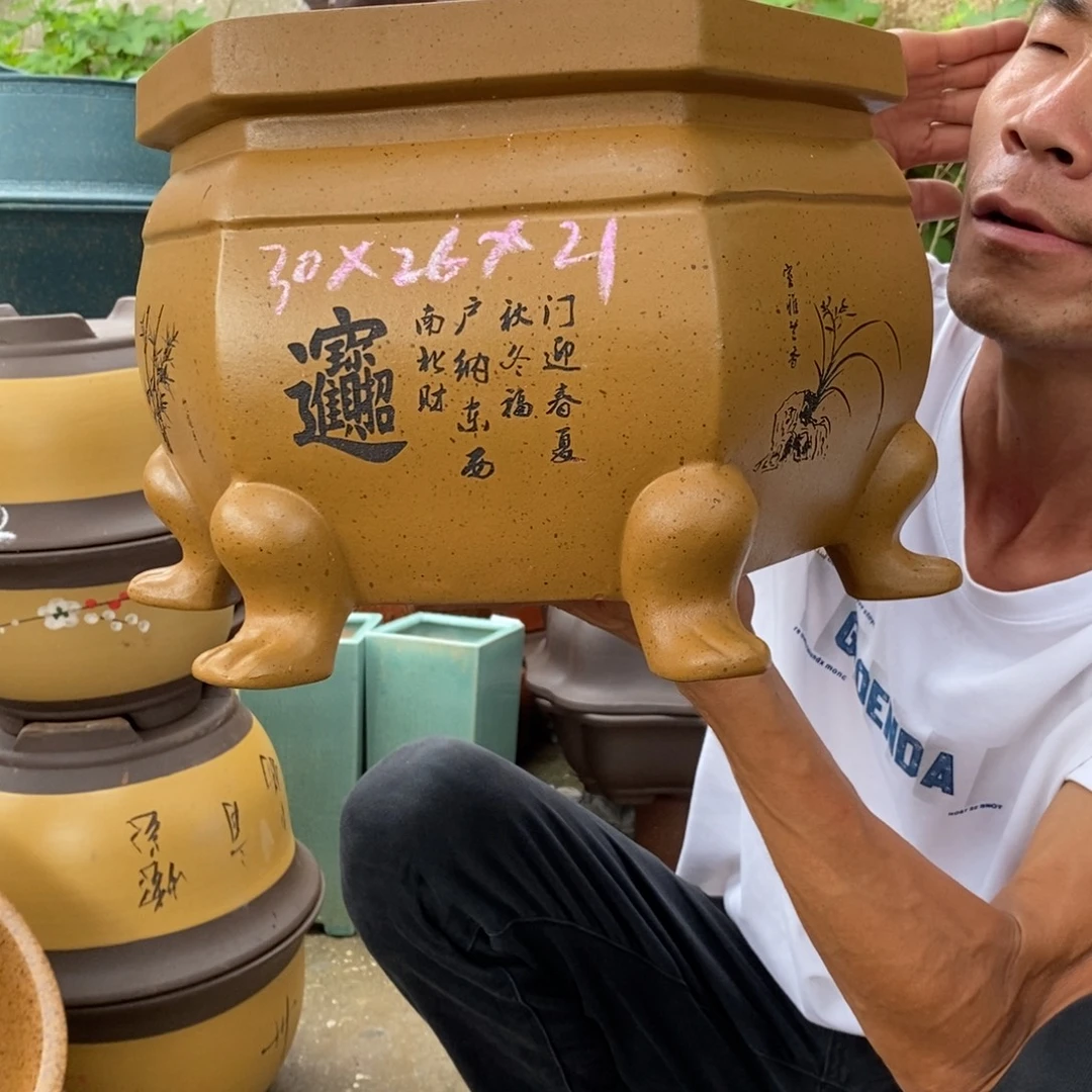 紫砂紫砂紫砂紫砂