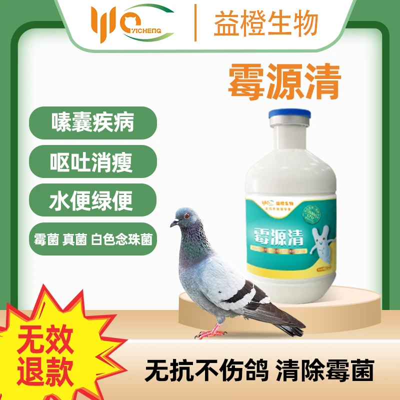 益橙霉源清霉菌真菌念珠菌改善脏腑