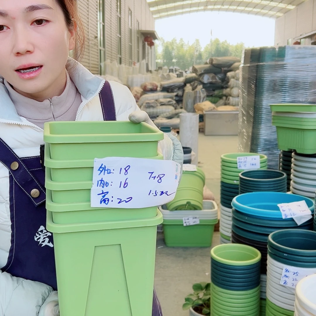方盆F18果绿6个｛含托}
