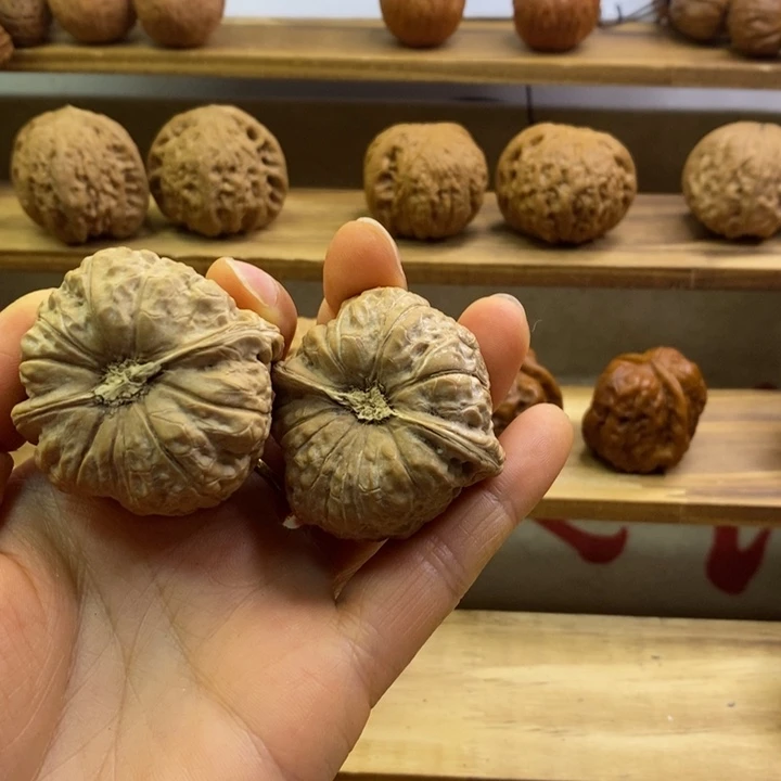 战***稳核桃南瓜一物一物全品无修