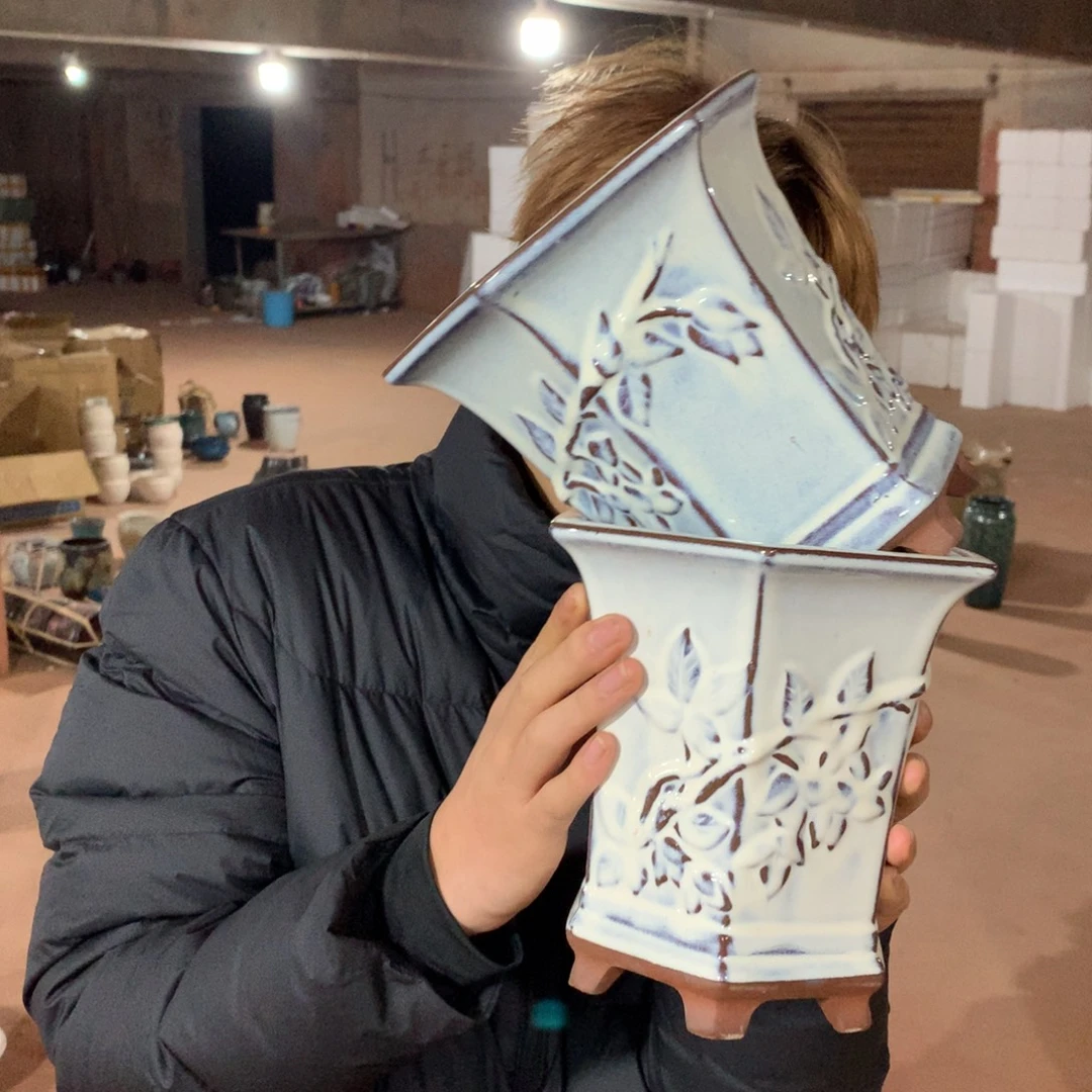 花盆啦啦啦啦啦啦啦