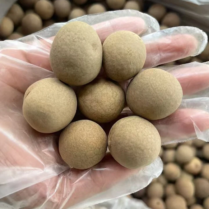 带壳桂圆干煲汤龙眼干初级农产品