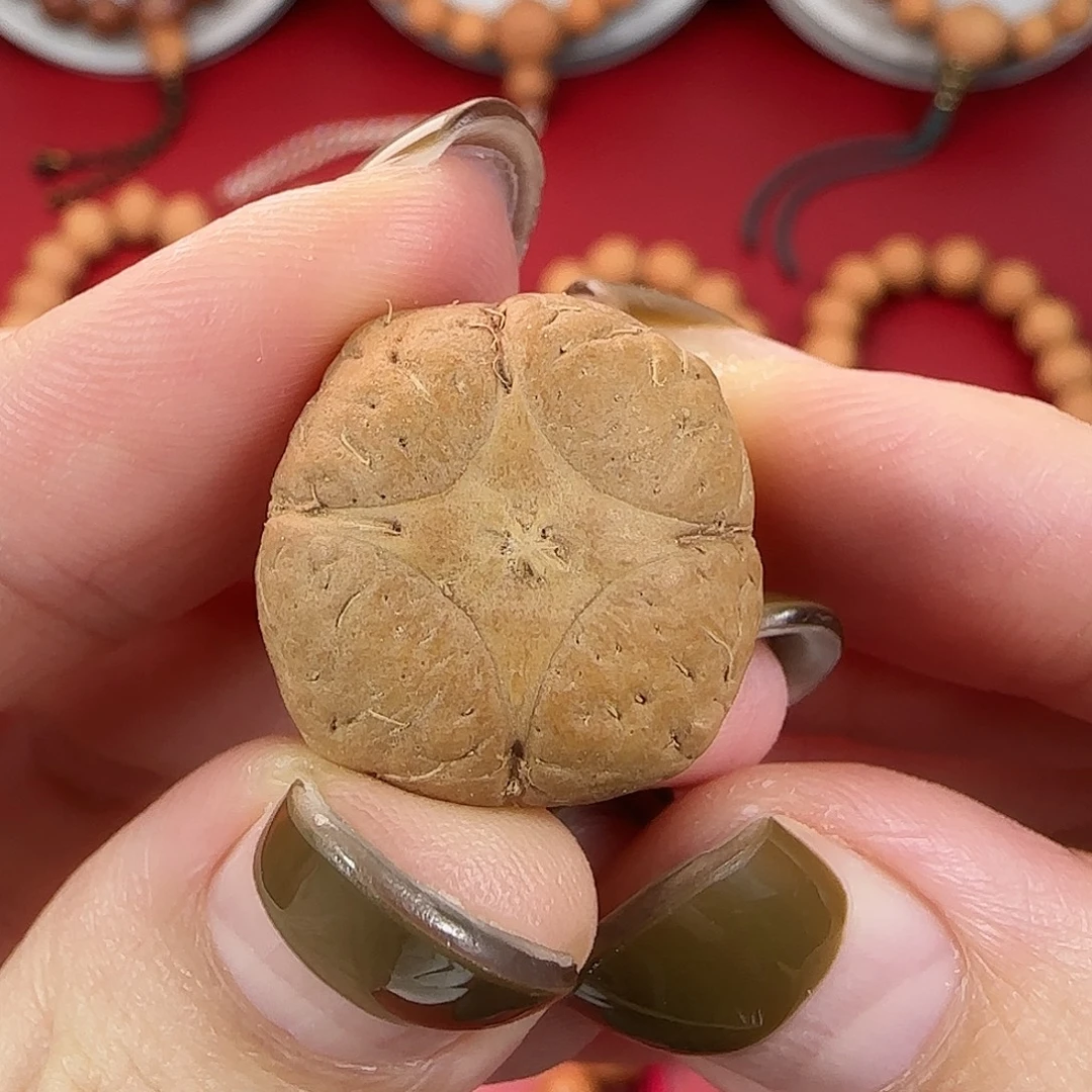 手串凤眼菩提25年新籽尼泊尔凤眼菩提麒麟眼单颗