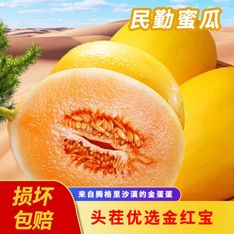 qy金红宝甘肃民勤头茬沙漠蜜瓜新鲜时令当季水果黄金香瓜应季水果