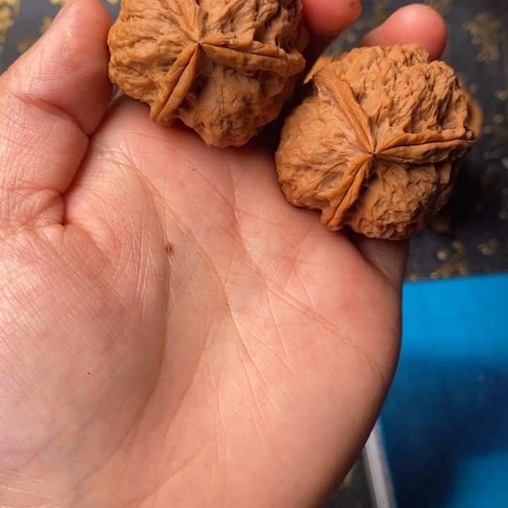 文玩核桃吊坠铁核桃44
