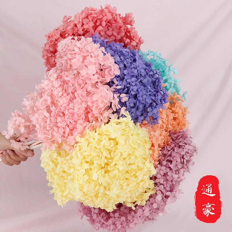 云南永生花单支安娜绣球 干花花束花材批发diy保鲜花婚庆拍摄道具