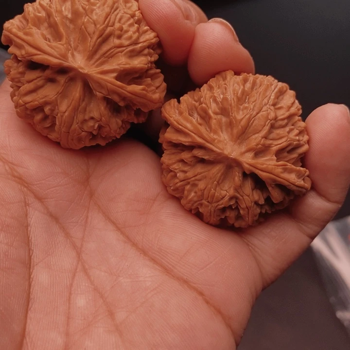核桃苹果41尺核桃