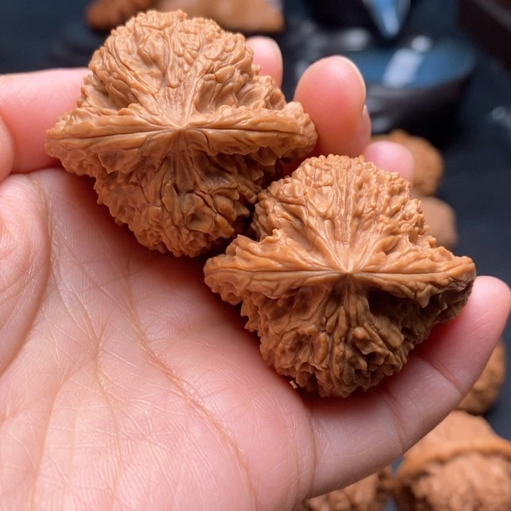 文玩核桃把件拉丝蚂蚁