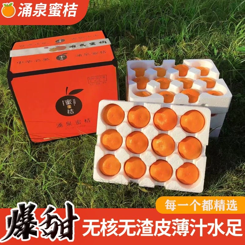临海涌泉蜜桔无籽时令水果现摘先发/5斤/10斤礼盒装