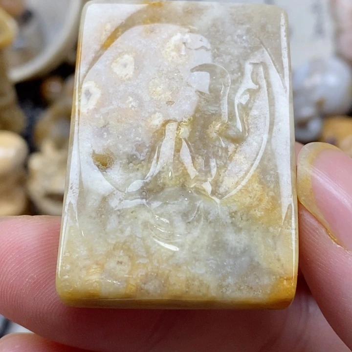 颈饰未镶嵌硅化珊瑚（珊瑚玉）