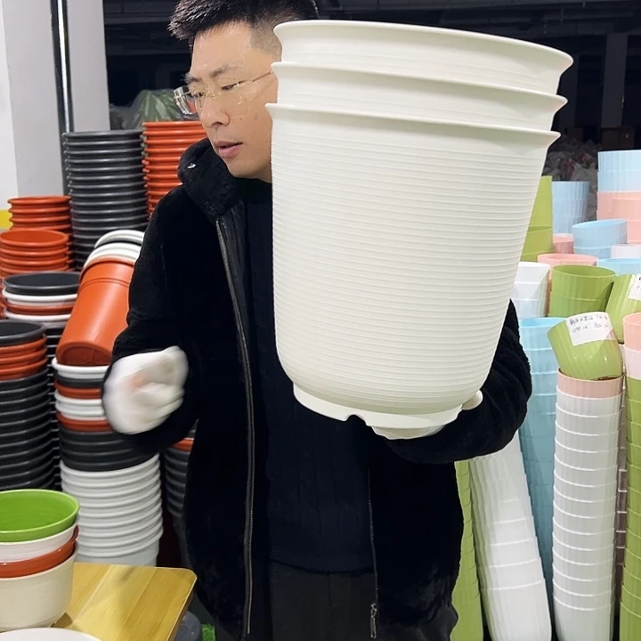 正品高陶口30高31白色3只无托