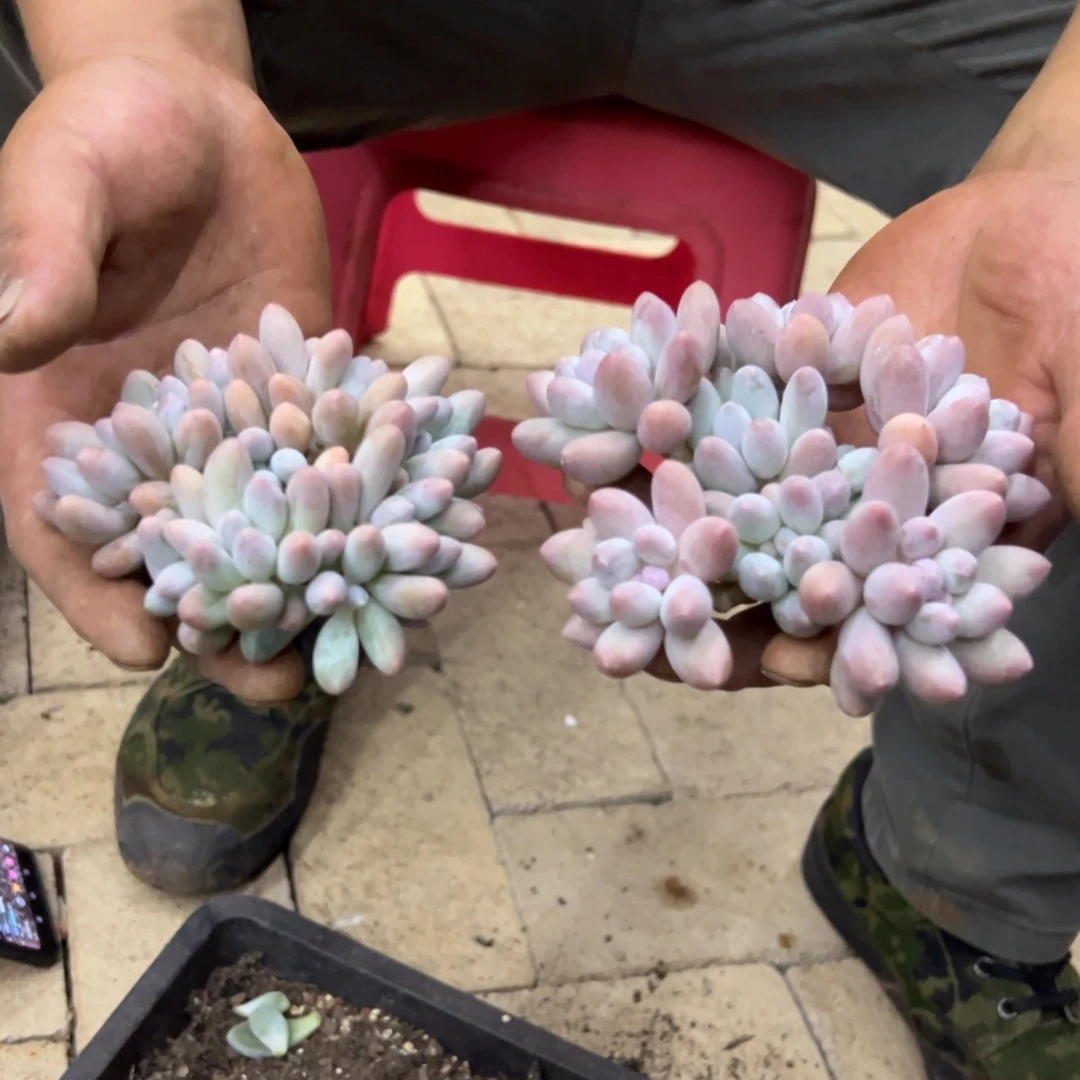 友***好我在你心里什么都是错