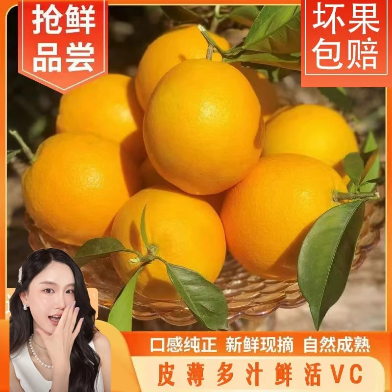 正宗江西赣南脐橙原产地直发