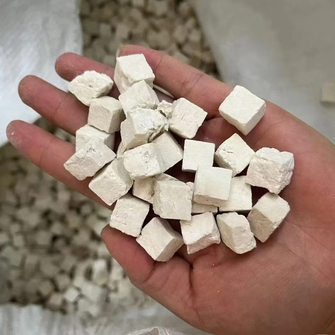 云南深山【茯苓】中心丁