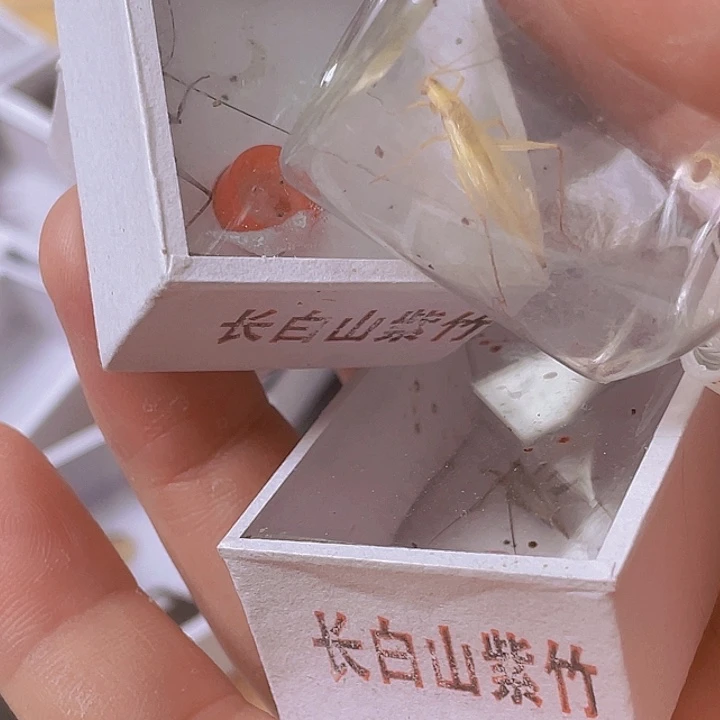 张***山竹玲啊啊啊啊啊啊啊